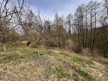 Prodej chaty / chalupy 30 m², Šternberk