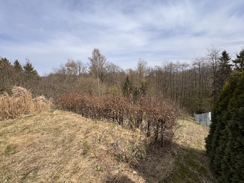 Prodej chaty / chalupy 30 m², Šternberk