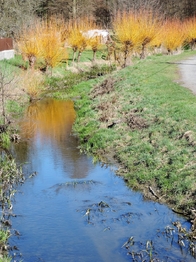 Prodej domu 220 m², Červený Hrádek