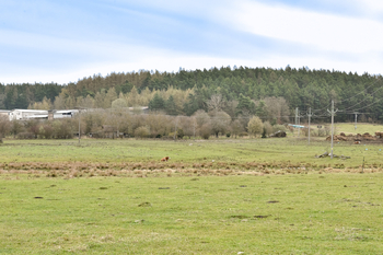 Prodej pozemku 3671 m², Olšany