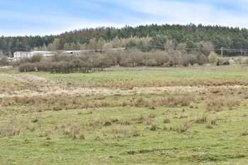 Prodej pozemku 3671 m², Olšany