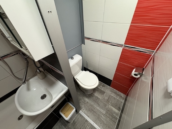 koupelna s WC - Pronájem bytu 1+kk v osobním vlastnictví 27 m², Plzeň