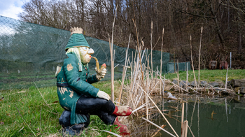 Prodej domu 150 m², Koryčany