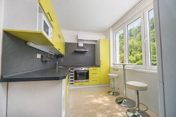 Prodej bytu 3+1 v osobním vlastnictví 63 m², Březová