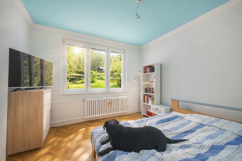 Prodej bytu 3+1 v osobním vlastnictví 63 m², Březová