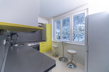 Prodej bytu 3+1 v osobním vlastnictví 63 m², Březová