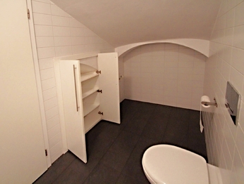 Pronájem bytu 1+1 v osobním vlastnictví 44 m², Kolín