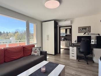 Prodej bytu 1+1 v osobním vlastnictví 42 m², Brno
