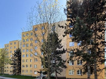 Prodej bytu 1+1 v osobním vlastnictví 42 m², Brno