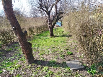 zahrada - Prodej bytu 3+kk v osobním vlastnictví 56 m², Neveklov