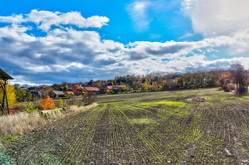 Prodej pozemku 1050 m², Chožov