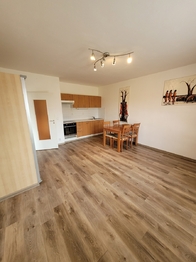 Pronájem bytu 1+kk v osobním vlastnictví 33 m², Beroun