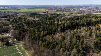 Prodej pozemku 2580 m², Tehov