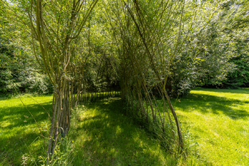 Prodej ubytovacího zařízení 786 m², Sloupnice