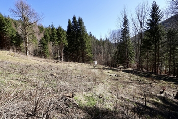 Prodej pozemku 7880 m², Morávka