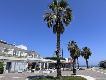 Prodej bytu 4+kk v osobním vlastnictví 85 m², Silvi