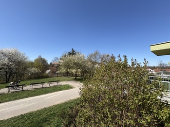 Výhled z oken obývacího pokoje - Prodej bytu 3+1 v osobním vlastnictví 89 m², Praha 6 - Řepy