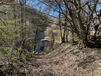 Prodej pozemku 5264 m², Hradištko