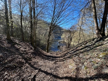 Prodej pozemku 5264 m², Hradištko