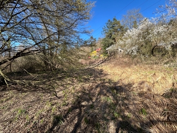 Prodej pozemku 5264 m², Hradištko