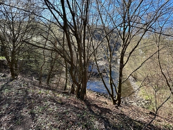 Prodej pozemku 5264 m², Hradištko