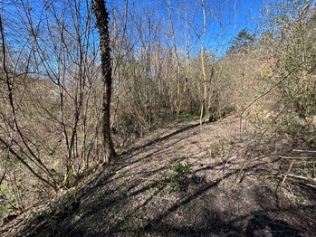 Prodej pozemku 5264 m², Hradištko