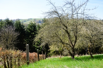 Prodej domu 107 m², Libštát