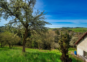 Prodej domu 107 m², Libštát