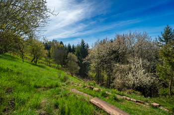 Prodej domu 107 m², Libštát