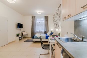 Pronájem bytu 1+kk v osobním vlastnictví 35 m², Praha 7 - Holešovice