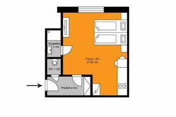 Pronájem bytu 1+kk v osobním vlastnictví 35 m², Praha 7 - Holešovice