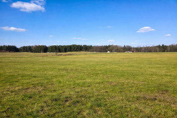 Prodej pozemku 15116 m², Rapšach