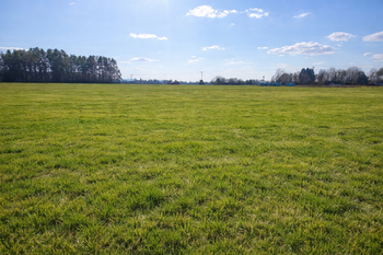 pohled od západu - Prodej pozemku 15116 m², Rapšach