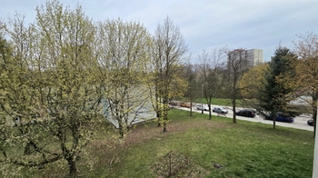 Pronájem bytu 2+kk v družstevním vlastnictví 49 m², Orlová