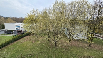 Pronájem bytu 2+kk v družstevním vlastnictví 49 m², Orlová