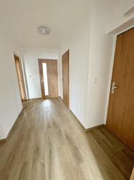Pronájem bytu 3+1 v osobním vlastnictví 67 m², Stachy