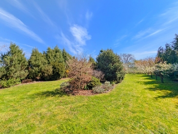 Prodej pozemku 1715 m², Tuněchody