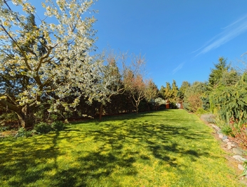 Prodej pozemku 1715 m², Tuněchody