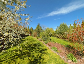 Prodej pozemku 1715 m², Tuněchody