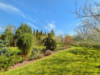 Prodej pozemku 1715 m², Tuněchody