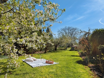 Prodej pozemku 1715 m², Tuněchody