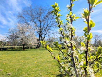 Prodej pozemku 1715 m², Tuněchody