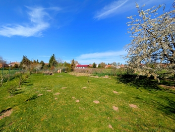 Prodej pozemku 1715 m², Tuněchody