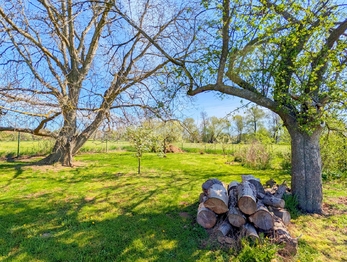 Prodej pozemku 1715 m², Tuněchody