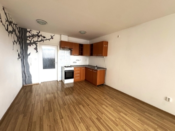 Pronájem bytu 1+kk v osobním vlastnictví 35 m², Vyškov