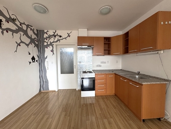 Pronájem bytu 1+kk v osobním vlastnictví 35 m², Vyškov