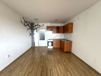Pronájem bytu 1+kk v osobním vlastnictví 35 m², Vyškov