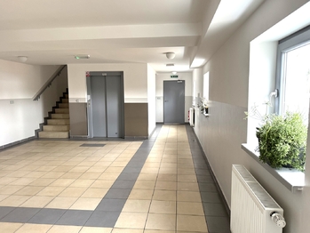 Pronájem bytu 1+kk v osobním vlastnictví 35 m², Vyškov