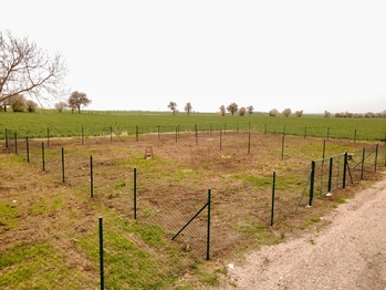 Současný stav zahrady - Prodej pozemku 306 m², Čáslav