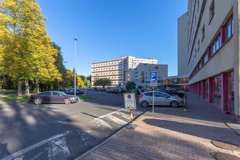 Pronájem bytu 2+kk v družstevním vlastnictví 53 m², Litvínov